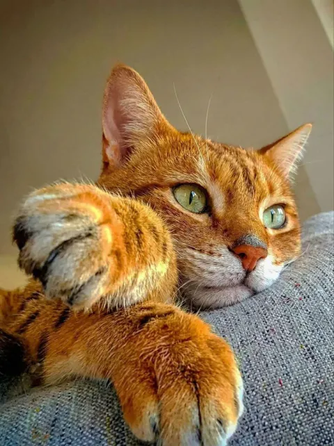 photo_2026-02-14_20-50-08.webp